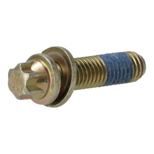 Wkręt z łbem torx 01179437
