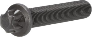 Wkręt z łbem torx 04253406