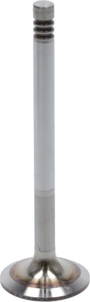 Zawór ssący 04283378