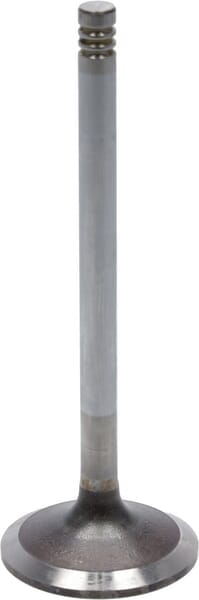 Zawór ssący 04283380