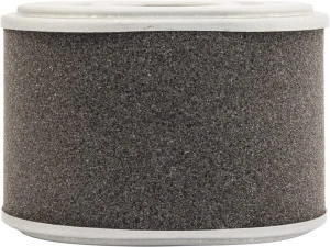 Filtr powietrza C10015