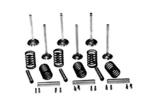 Zawory ssące i sprężyny kpl. VPA6002