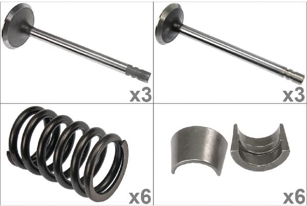 Zawory ssące i sprężyny kpl. VPA6050