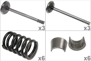 Zawory ssące i sprężyny kpl. VPA6050