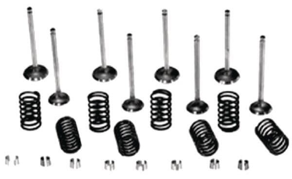 Zawory ssące i sprężyny kpl. VPA6052