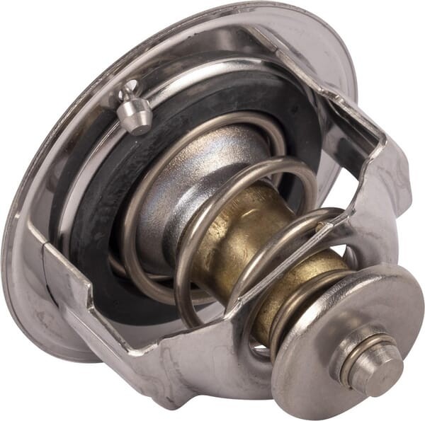 Termostat 1C01173013