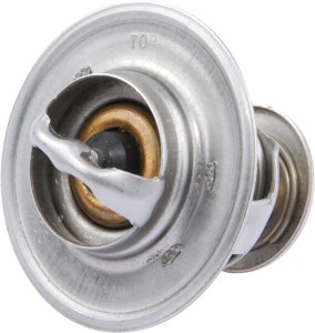 Termostat Case - IH 3059676R92