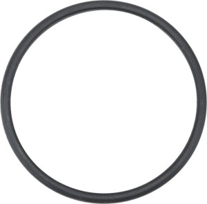 Uszczelka termostatu 504387771