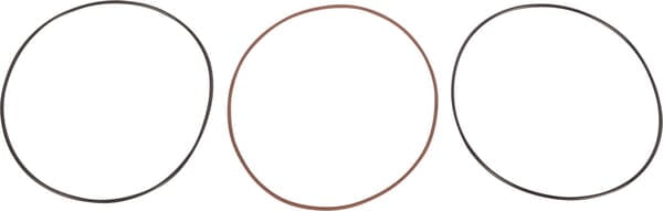 Seal V0068968