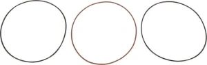 Seal V0068968