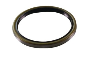 Uszczelniacz oleju B1Sl 72x84 AGW02009