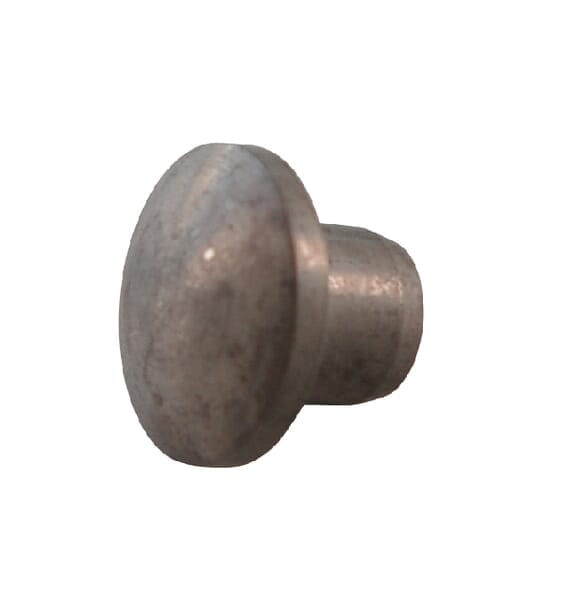 Grzybek 10.1 AGW14646