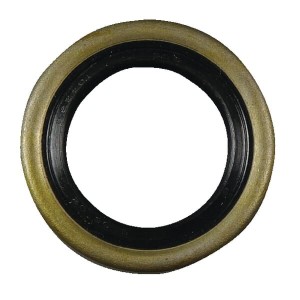 Uszczelniacz oleju B1Sl 20x30 AGW26137