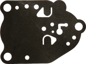 Membrana AGW60166