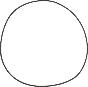 Pierścień uszczelniający 5030210062