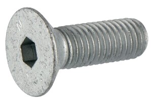 Śruba 16×60 8,8 A2G DD199