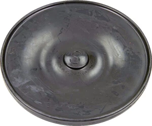 Membrana RG00022800