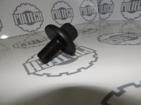 Śruba koła pasowego 4241694m1 - 4241694M1 - Sklep rolniczy PoltechParts