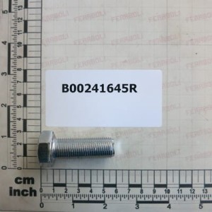 Śruba Gaspardo B00241645R