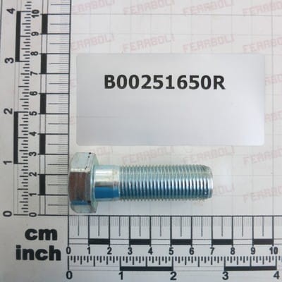 Śruba Gaspardo B00251650R
