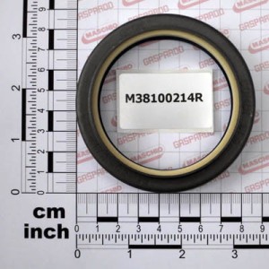 USzczelniacz olejowy 65X85X13/17 SPEC.  Gaspardo M38100214R