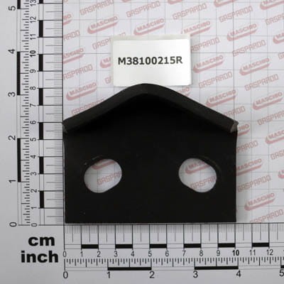 Blaszka Zabezpieczająca  Gaspardo M38100215R