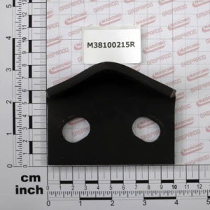 Blaszka Zabezpieczająca  Gaspardo M38100215R