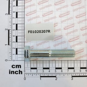 Śruba M14X2X70     U5737  8.8ZN Gaspardo F01020207R