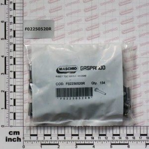 Paczka nitów TSC 6X19,8 QTY 154 Gaspardo F02250520R