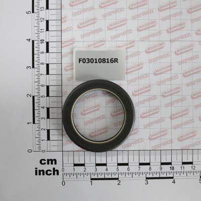 Uszczelniacz 48X65X11 Gaspardo F03010816R