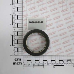 Uszczelniacz 48X65X11 Gaspardo F03010816R