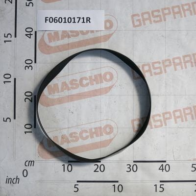 Pasek wielorowkowy turbiny 1016 J-16 Gaspardo  F06010171R