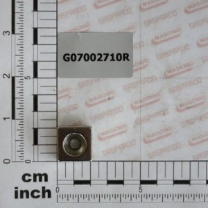  Magnes kontrolera Gaspardo G07002710R