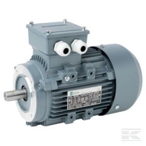 Silnik elektryczny paszociągu, 0,75 kW 015602 