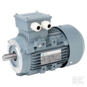 Silnik elektryczny paszociągu, 1,1 kW 015603 