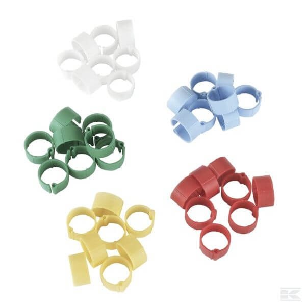 Obrączki dla kur, 12mm, 100 szt.