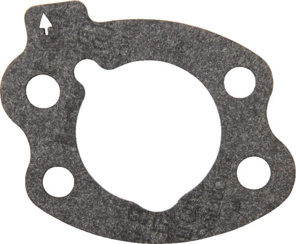 Uszczelka filtra powietrza Briggs & Stratton 844931