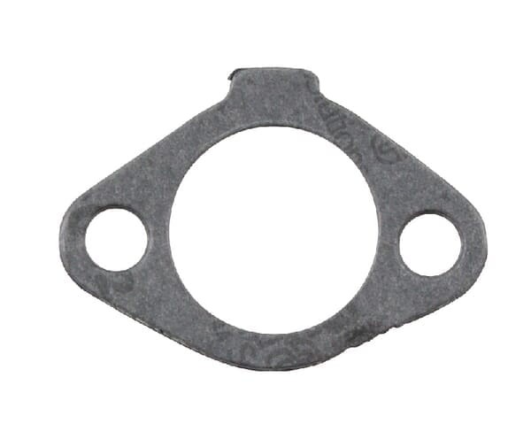Uszczelka 5204109S