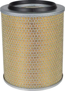 Element filtra powietrza C24393