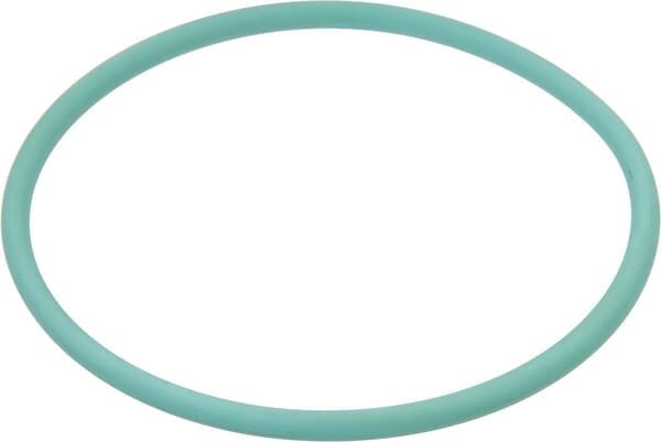 Pierścień uszczelniający o-ring 9.19x2.62mm Viton zielony Arag G11038V