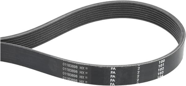 Pas alternatora MA961453
