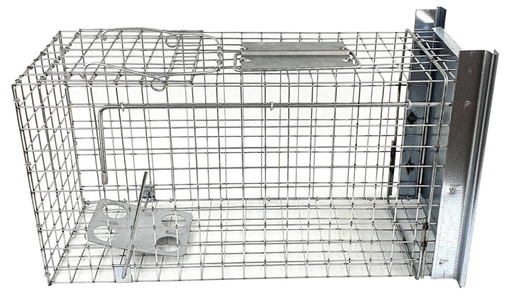 Żywołapka na kuny, tchórze, szczury 50x20… | poltechparts.pl
