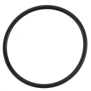 O-RING 001053759