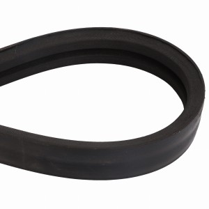 PAS 039631T1