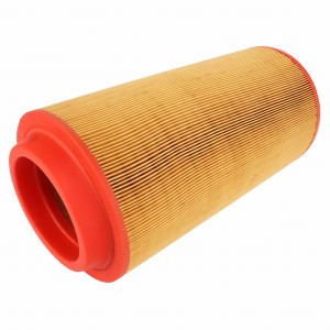 WKŁAD FILTRA POWIETRZA 055129R1