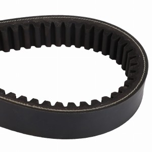 PAS 059106T1