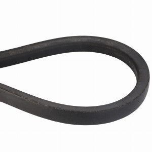 PAS 065881T1
