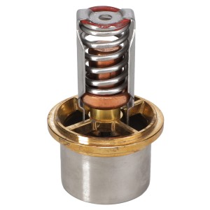 TERMOSTAT 166862AV