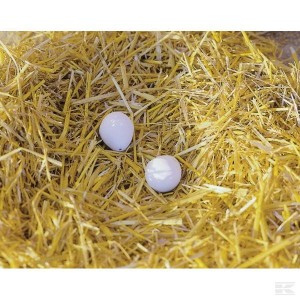 Sztuczne jaja, 2 szt.