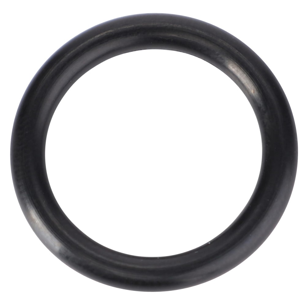 O-RING 3014940X1